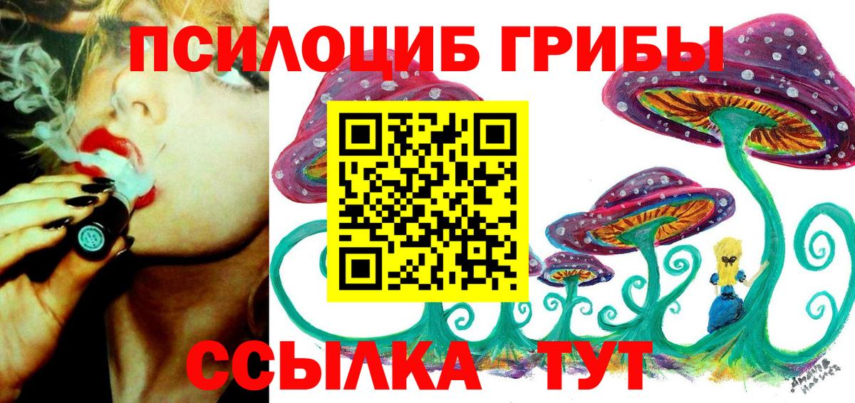Псилоцибиновые грибы GOLDEN TEACHER  Псилоцибиновые грибы Magic Shrooms  Ишим  Вход с VPN 